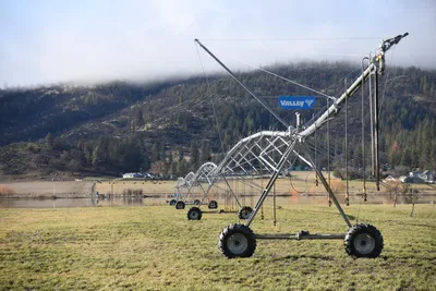 DSC_5779 (Large).JPG